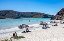 Day Trip to La Paz & Balandra Beach from Cabo San Lucas