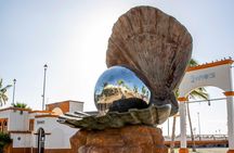 Day Trip to La Paz & Balandra Beach from Cabo San Lucas