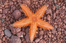 7 Days Diving and Hiking on the Galapagos Islands Tour