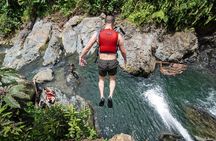 Private Tour of El Yunque Rainforest from San Juan
