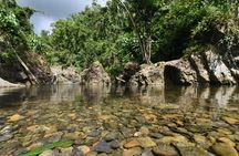 Private Tour of El Yunque Rainforest from San Juan