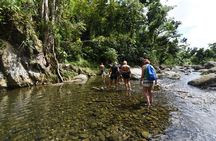 Private Tour of El Yunque Rainforest from San Juan