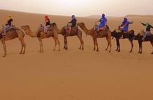 Full day trip from Zagora To erg chigaga Desert