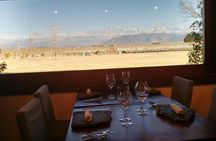 MTB - A tour of the wineries and their vineyards