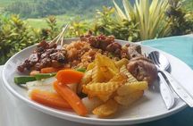 Ubud Hot Springs and Waterfall Private Guided Tour Free WiFi