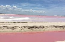 Tour Las Coloradas and Rio Lagartos