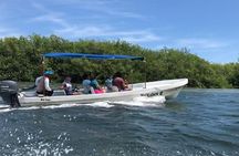 Tour Las Coloradas and Rio Lagartos