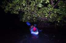 Bioluminescent Bay Kayak Adventure from San Juan