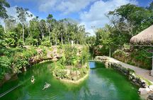 Discover and Descend on the Hidden Xenotes Tour From Cancun