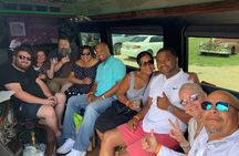 Texas Hill Country Group Wine Tour by Limousine