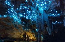 Sanctuary Mountain (Mt Maungatautari) & Waitomo Luxury Day tour from Auckland