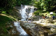 Full-day Cameron Highlands & Batu Caves Tour from Kuala Lumpur