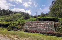 Full-Day Cameron Highlands & Batu caves Tour