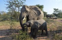 Muslim Cape Town Tour Package