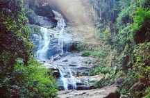Christ and Tijuca Forest Tour - by Alan Denis