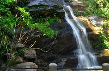 Christ and Tijuca Forest Tour - by Alan Denis