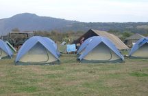 5 Days Private Safari- Tarangire, Serengeti, Ngorongoro & Manyara