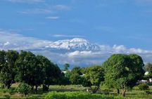 Kikuletwa Hotsprings/ Maji moto Day Trip