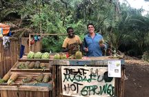 Kikuletwa Hotsprings/ Maji moto Day Trip