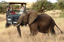 5 Days Kenya Masai Mara and Lake Nakuru Private Tour