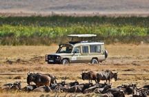 6 Day Tanzania Wildlife Mid range Safari