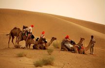 Overnight Camel Safari at Non-Touristic Route