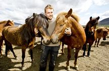 Icelandic Horseback Riding Tour Including Pick Up from Reykjavik