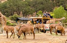 Safari West Sonoma Adventure Tour