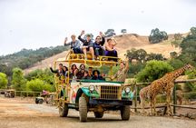 Safari West Sonoma Adventure Tour