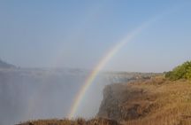 Guided Tour of the Falls 