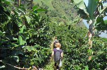The Anti Coffee tour: a visit to La Cascada Arcoiris Farm