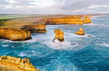 Great Ocean Road Medium Size Group Tour
