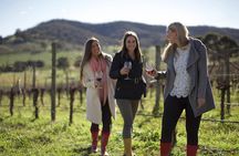 Ultimate Yarra Valley Chandon, Soumah & De Bortoli Cheese & Wine 