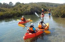 Batemans Bay Glass-Bottom Kayak Tour Over 2 Relaxing Hours