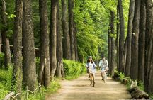 One Day Private Tour-Nami Island, Petite and Garden of Morning Calm(Incl. Lunch)