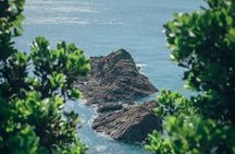 Kagoshima Private Customizable Half Day Tour