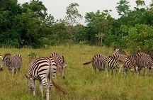 Shai Hills Safari & Aburi Gardens Tour