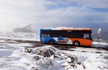 Hobart Hop-On Hop-Off Bus & kunanyi/Mt Wellington Tour