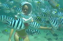 Bali Sea Walking Experience