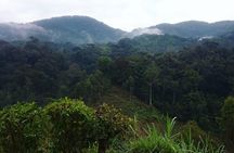 6 Day Gorilla tracking and Wildlife Safari