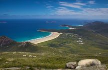 Wilson's Promontory & Phillip Island - 'Prom & Penguins' Tour