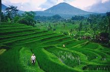 Private Tour - Bali UNESCO World Heritage Sites