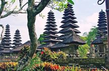 Private Tour - Bali UNESCO World Heritage Sites