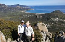 Wilson's Promontory & Phillip Island - 'Prom & Penguins' Tour