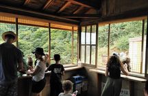Kyoto Arashiyama & Golden Pavilion One-Day Walking Tour