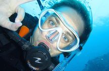 Introductory dive for non-certified divers
