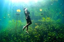 Xcaret 4-Cenotes-Guided Tour- Snacks, Lunch and Drinks included 