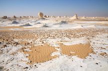 2 Days White Desert And Bahariya Oasis Tour
