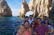 Humpback Whales in Cabo San Lucas