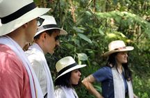 Medellín Hands-on Coffee Tour